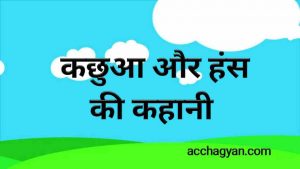 Read more about the article कछुआ और हंस | Kachua Aur Hans Ki Kahani – 2025